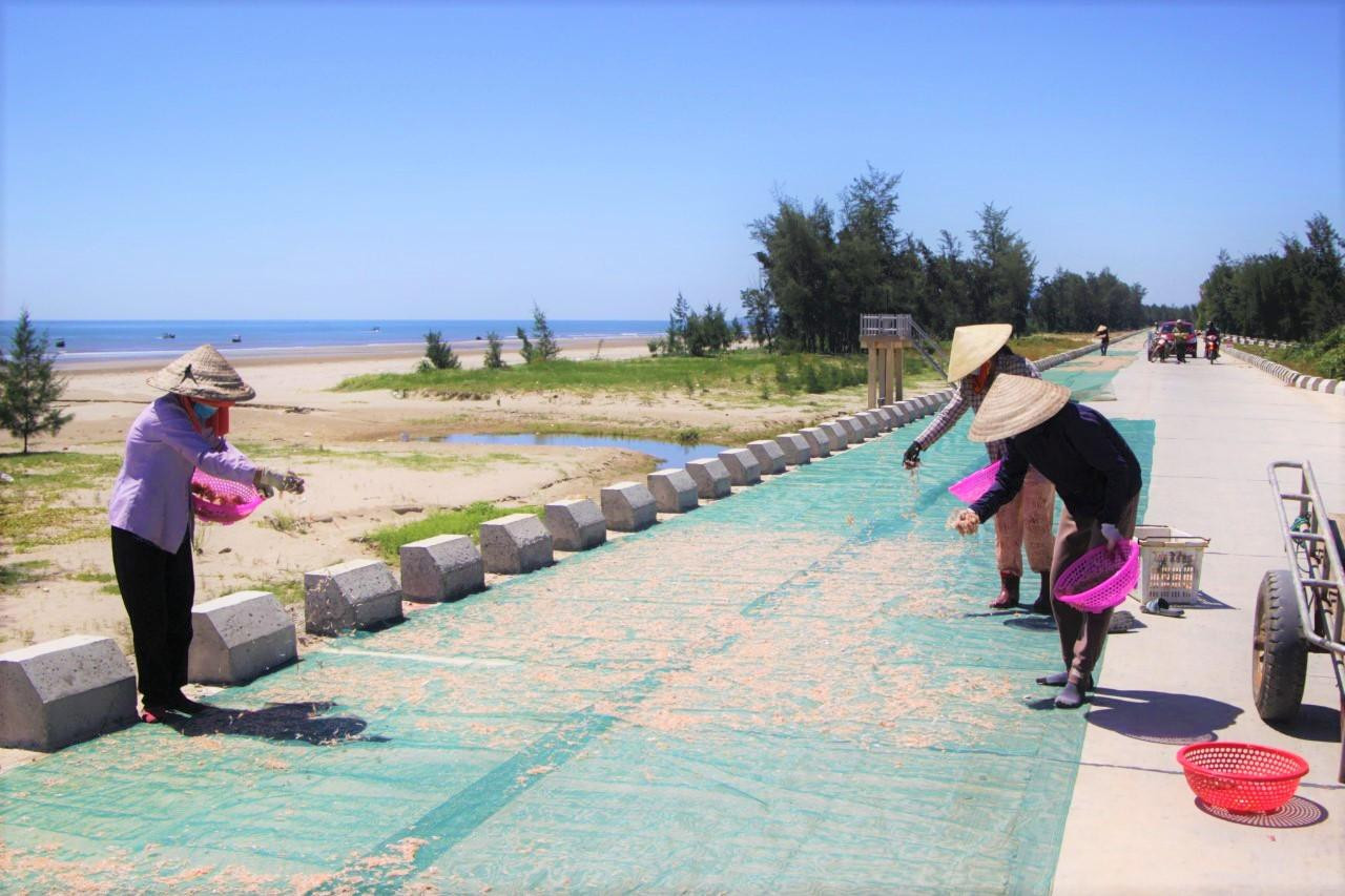 Sau khi ruốc đưa lên bờ, người dân dùng một tay rãi đều trên những tấm lưới đã được đặt sẵn để phơi nắng.