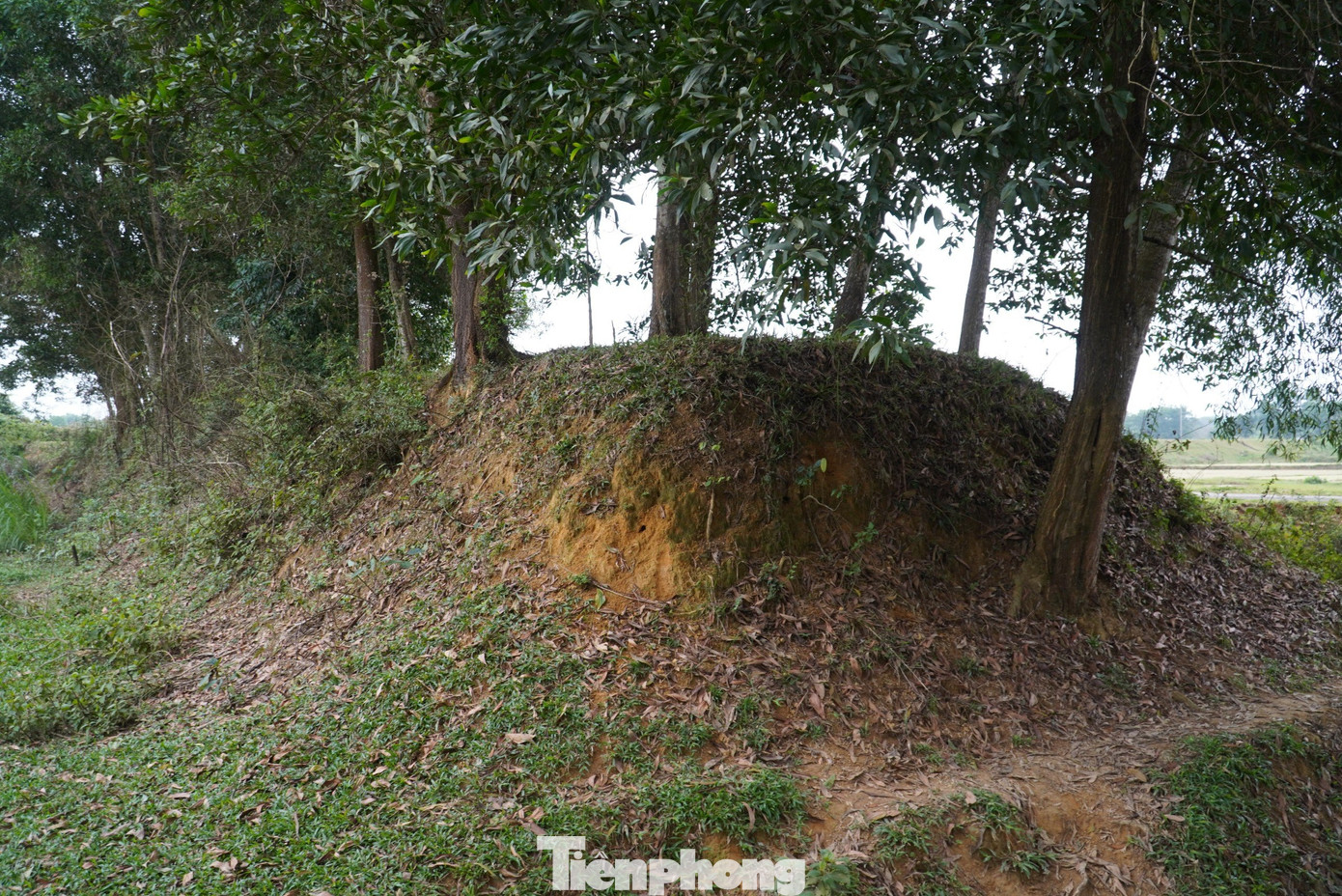 Thành trước kia được đắp cao 2,2 m, chân thành 9 m, mặt thành 7 m.