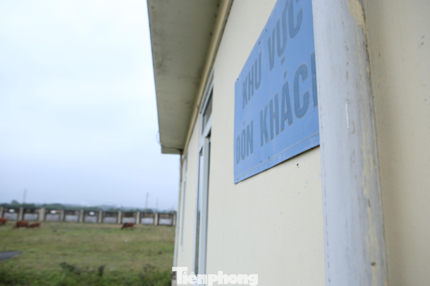 Khu vực đón khách bỏ hoang, thành nơi chăn thả trâu bò.