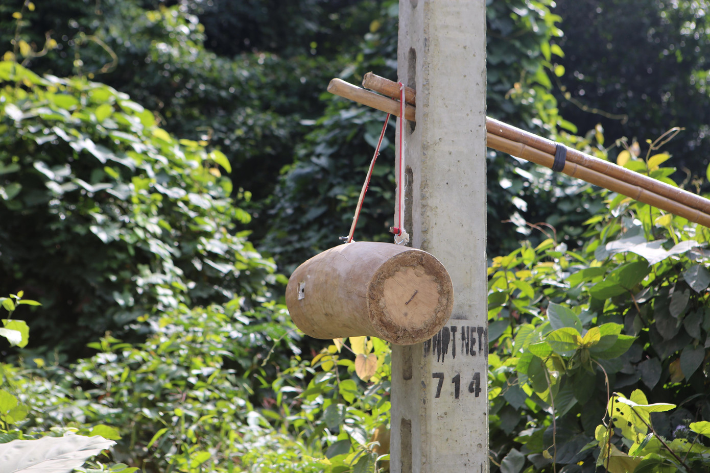 Hiện nay, bình quân 1 đàn ong có giá 300.000 đồng đến 500.000 đồng.