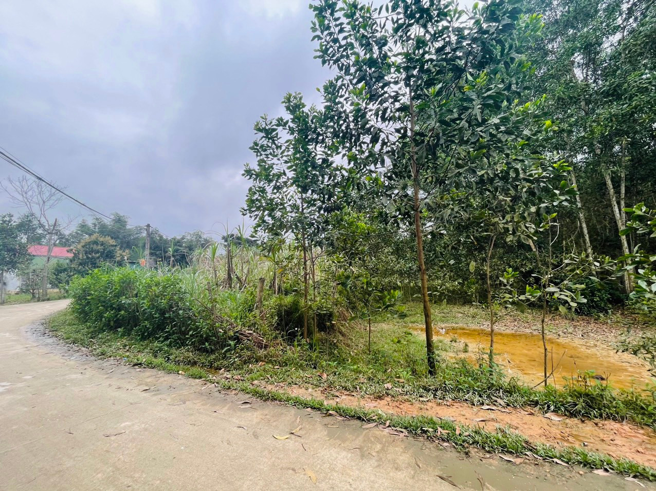 Một phần diện tích đất được cấp giai đoạn 2014-2017 nhưng dân chưa làm được sổ đỏ. Một phần diện tích đất được cấp giai đoạn 2014-2017 nhưng dân chưa làm được sổ đỏ.