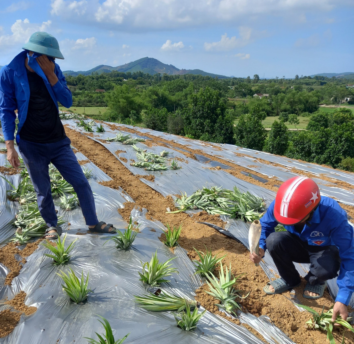 Hình ảnh thanh niên xung kích, tình nguyện để lại ấn tượng đẹp trong lòng người dân.