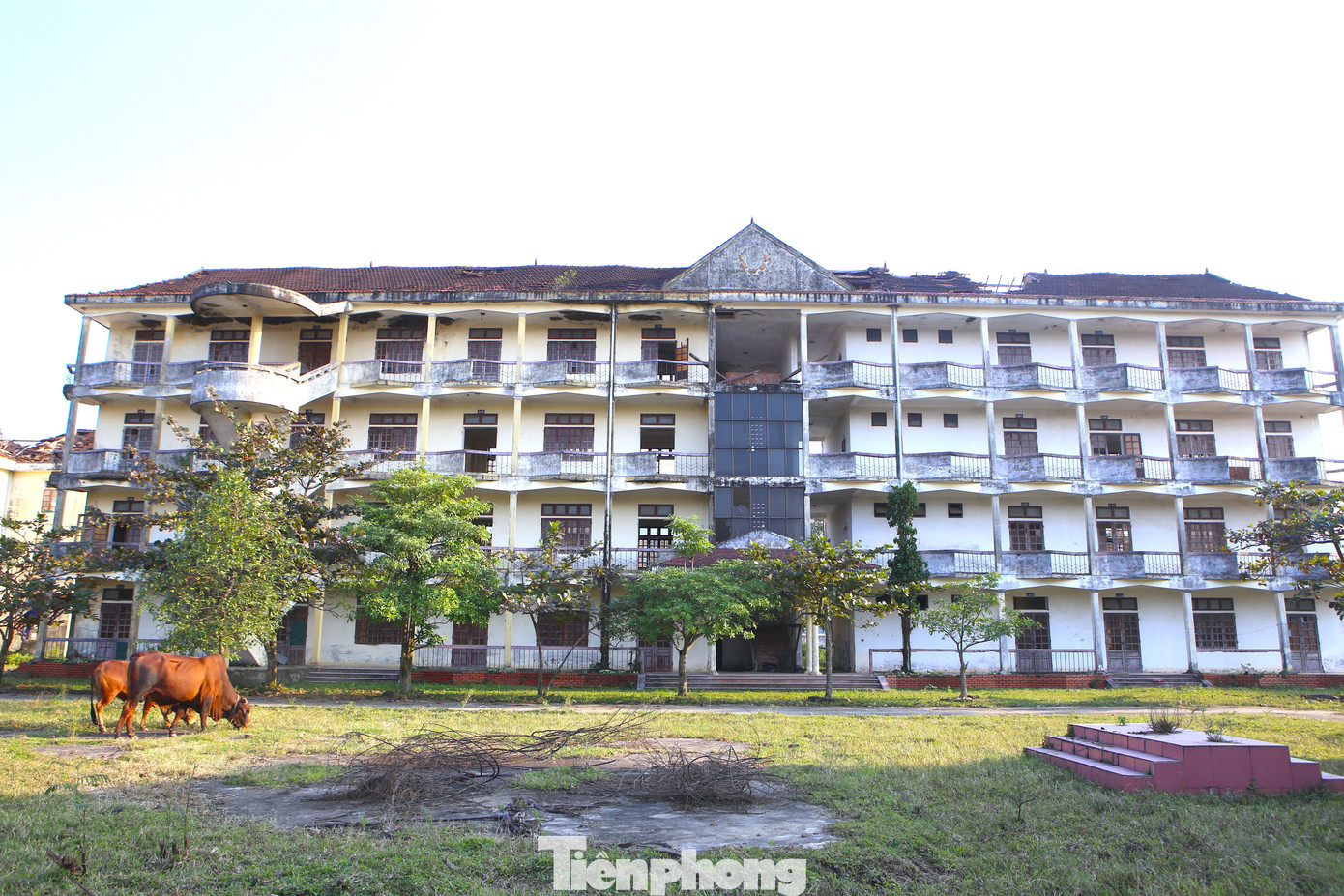 Trao đổi với Tiền Phong, ông Đoàn Hoài Sơn - Hiệu trưởng trường Đại học Hà Tĩnh cho biết, từ năm 2017, trường Trung cấp Kỹ thuật và Phát triển nông nghiệp đã được bàn giao lại cho UBND tỉnh Hà Tĩnh quản lý. Phía tỉnh giao cho Sở Tài Chính bán, chuyển nhượng nhưng vẫn chưa bán được. Gần đây nhất tỉnh đang làm thủ tục chuyển nhượng cho một đơn vị khác sử dụng, còn phía trường đang thuê bảo vệ để bảo vệ tài sản ở trường bỏ hoang này.