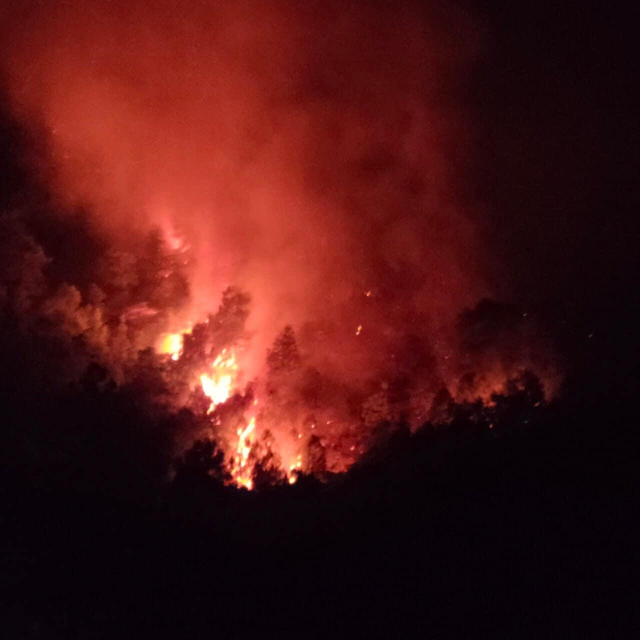 Khu vực rừng bốc cháy ngùn ngụt trong đêm. Khu vực rừng bốc cháy ngùn ngụt trong đêm.