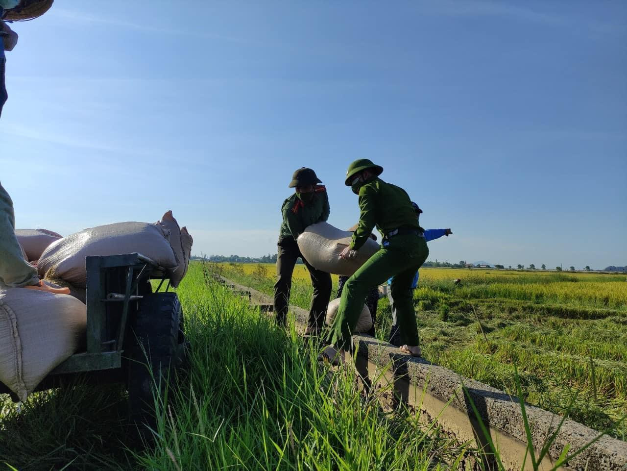 Thị trấn Cẩm Xuyên có 18 tổ dân phố, 3.934 hộ, 15.229 nhân khẩu đang thực hiện cách ly theo chỉ thị 16 của Thủ tướng Chính phủ. Trong số đó nhiều cánh đồng lúa phía ngoài, không nằm trong khu phong toả, đoàn thanh niên cùng chiến sĩ công an đã xuống đồng giúp dân thu hoạch vụ lúa Hè thu.