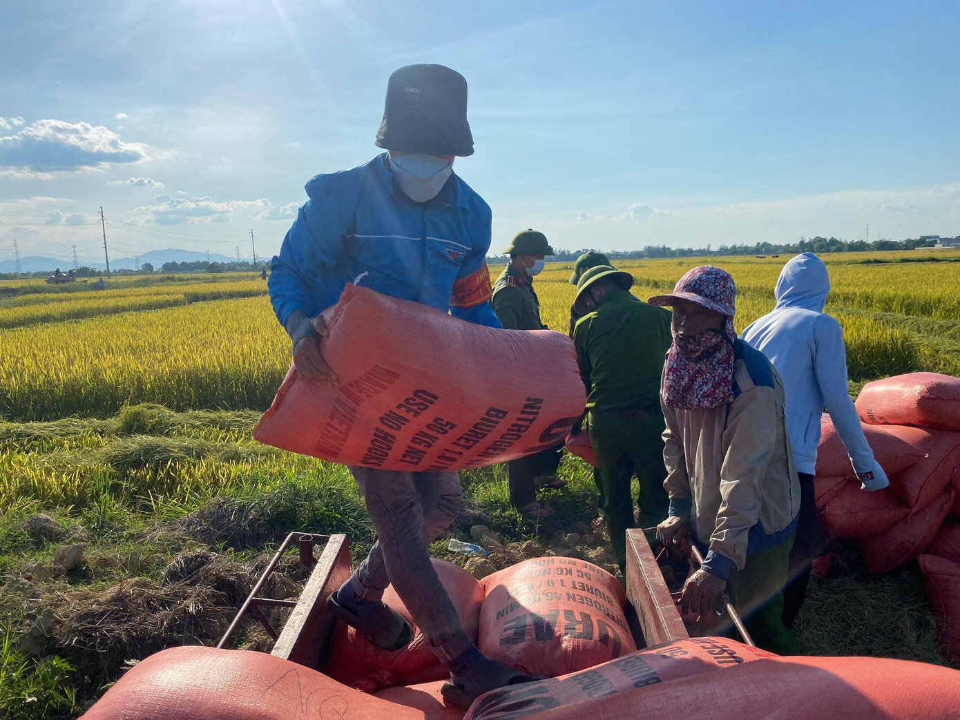 Hiện nay trên địa bàn lúa đã vào mùa thu hoạch nhưng vẫn để ngoài đồng vì nhiều gia đình ở thị trấn Cẩm Xuyên bị phong toả. Trước tình hình đó, chiều 23/8, hơn 20 bạn tình nguyện viên thuộc Đoàn thị trấn Cẩm Xuyên cùng hàng chục cán bộ, chiến sĩ công an huyện Cẩm Xuyên đã xuống đồng hỗ trợ giúp người dân thu hoạch lúa.