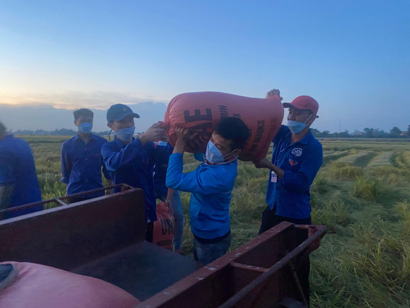 Tham gia thu hoạch lúa giúp dân cũng có những bạn trẻ chỉ mới 16, 17 tuổi, nhưng các bạn trẻ không ngần ngại, viết đơn tình nguyện đăng ký hỗ trợ giúp dân chống dịch COVID-19.