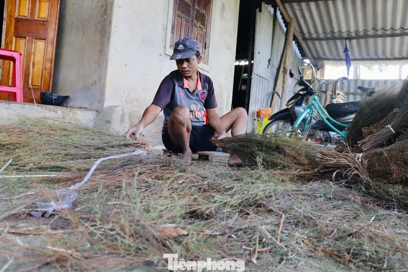 Tại thôn 3, xã Phúc Đồng, huyện Hương Khê (Hà Tĩnh) có khoảng 10 hộ dân gắn bó với nghề thu hái chổi trện trên rừng.