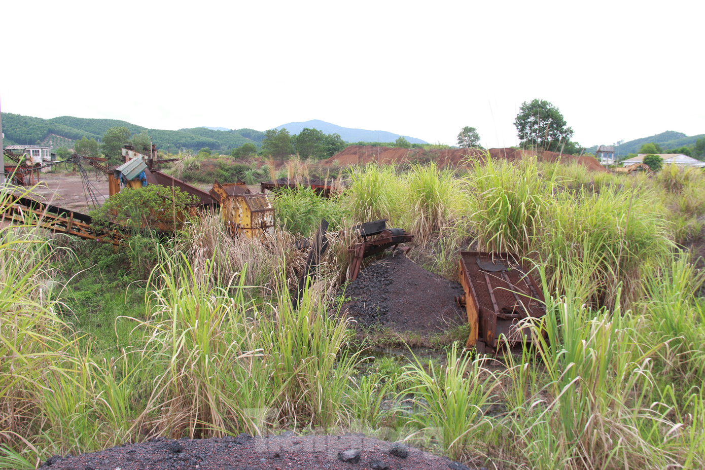 Cỏ dại mọc um tùm bên trong khuôn viên. Trong ảnh là khu vực hệ thống điện của nhà máy.