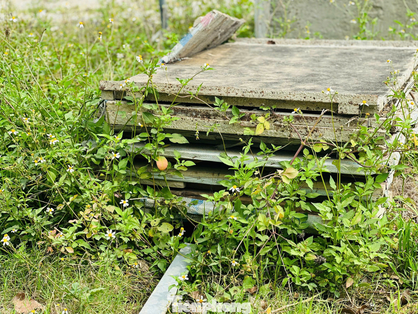 Hiện tại dự án đang trong giai đoạn thực hiện, tuy nhiên tại một số vị trí chưa hoàn thiện công tác giải phóng mặt bằng, vật liệu xây dựng chất đống, nằm ngổn ngang bên vỉa hè. Hiện tại dự án đang trong giai đoạn thực hiện, tuy nhiên tại một số vị trí chưa hoàn thiện công tác giải phóng mặt bằng, vật liệu xây dựng chất đống, nằm ngổn ngang bên vỉa hè.