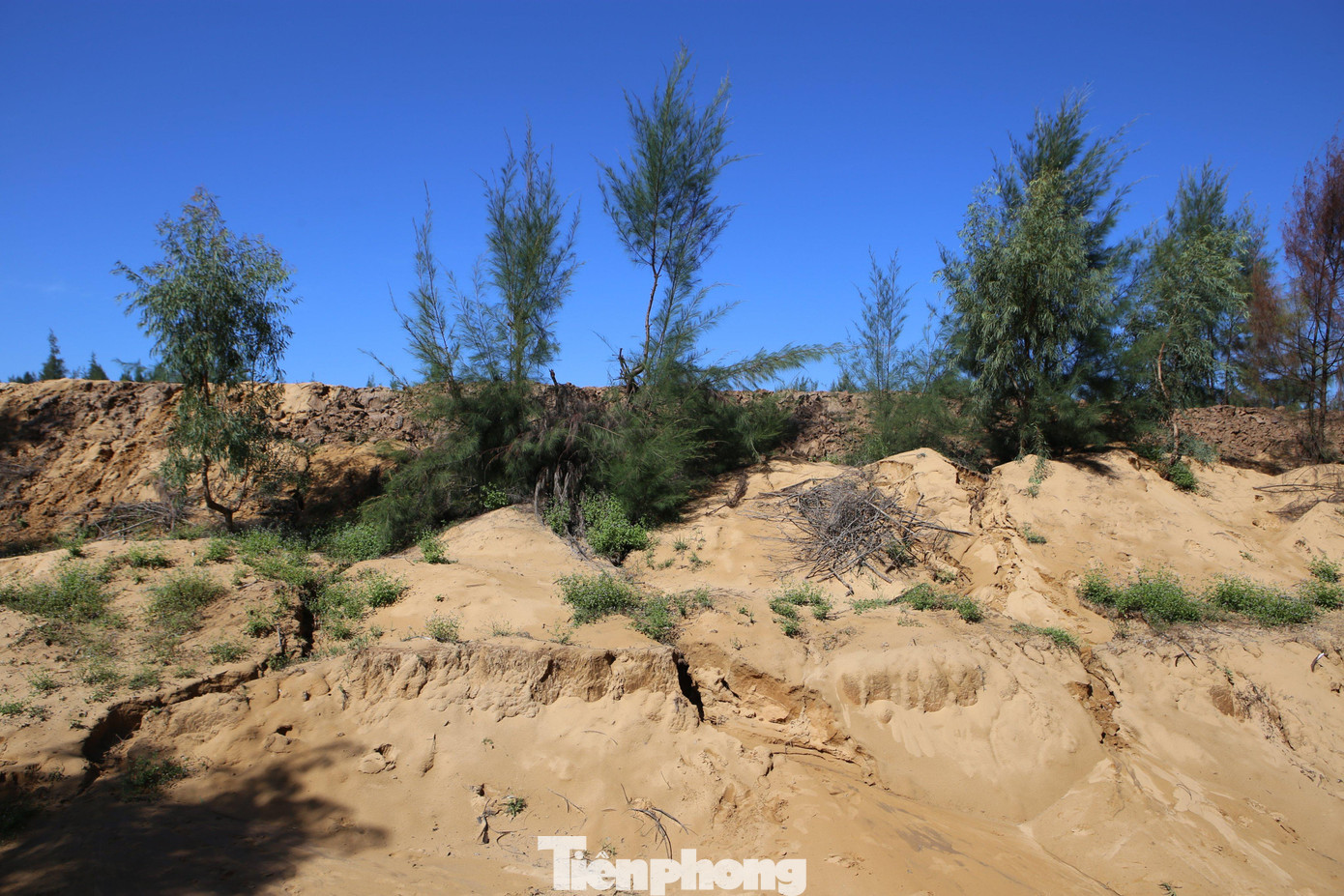 Ông Nguyễn Hải Lý - Bí thư Đảng ủy xã Thạch Hải cho biết, cứ mỗi lần mưa lớn nước đổ dồn về đã phá vỡ bờ bao khiến bùn đất tràn ra ngoài, đảo lộn cuộc sống người dân địa phương.