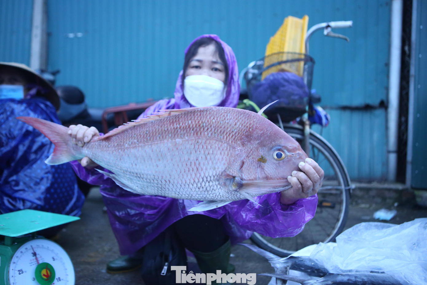 Bà Nguyễn Thị Phú (trú tại xã Thạch Hạ, TP Hà Tĩnh) bỏ 40 triệu để mua hải sản tại các tàu thuyền để về TP Hà Tĩnh bán lẻ tại các chợ. Thương lái Phú cho biết, do không khí lạnh tăng cường nên tại cảng số lượng cá và tàu về đông. Hải sản giá cao hơn trong và trước Tết.