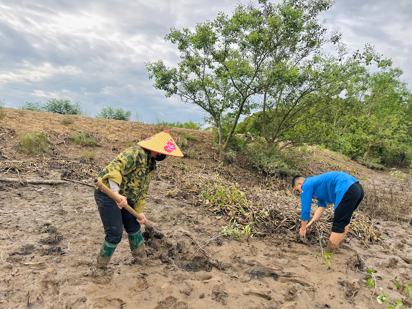 Hoạt động này mục đích tạo cảnh quan và phủ xanh bãi bồi nhằm bảo vệ bờ đê trước nguy cơ sạt lở do biến đổi khí hậu.