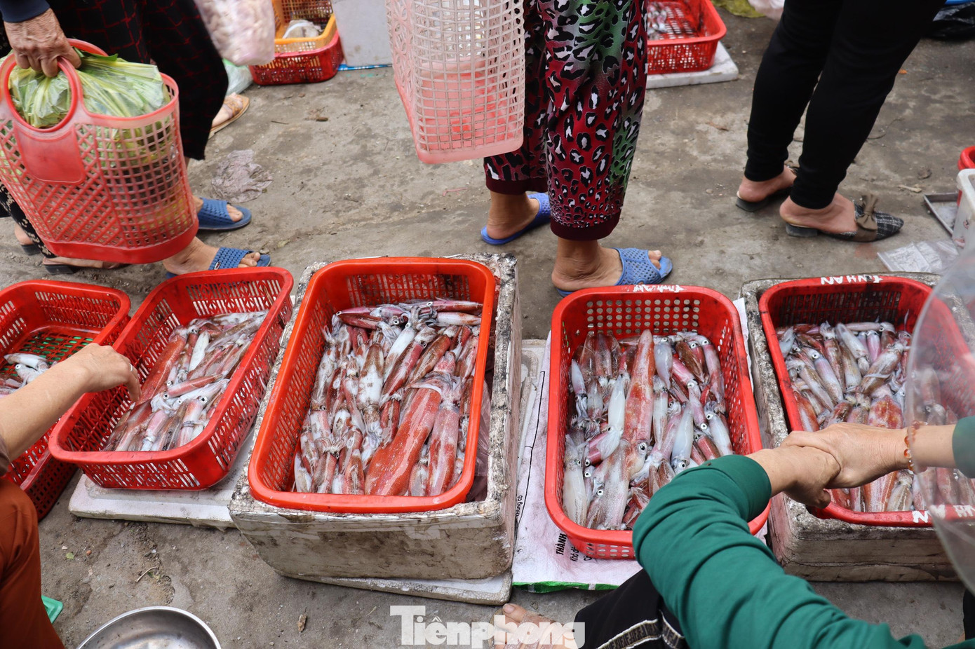 Tại chợ Đạo (Thạch Văn) là nơi tụ họp để bán mực, cá tươi sống, mực tươi xếp 2 hàng dài người dân chen chân nhau mua bán. Theo những người dân ở đây thì chỉ khoảng 30 phút là số mực của ngư dân đã được người dân hoặc thương lái mua gần hết.