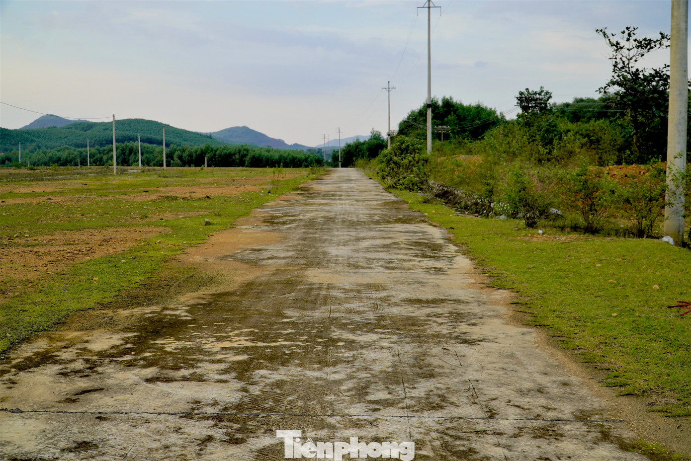 Dự án được xây dựng đồng bộ hạ tầng điện, đường, mương thoát nước. Song đến nay điện vẫn chưa được đóng, nước còn thiếu. Trong ảnh khuôn viên khu tái định cư trở nên hoang vắng, cây cỏ mọc um tùm.