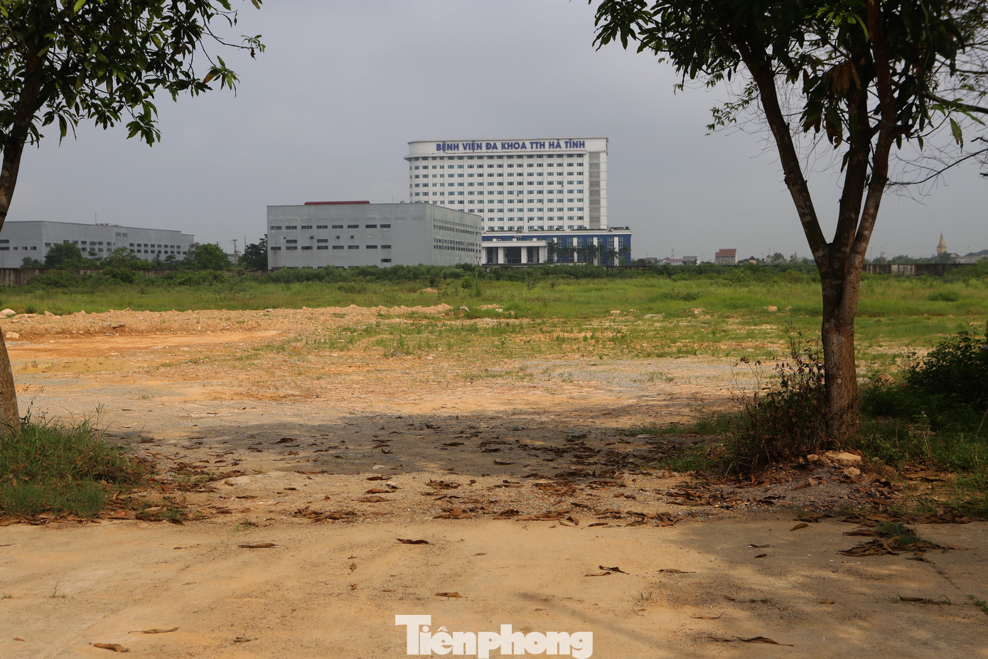 Toàn bộ khuôn viên bên trong đang bỏ hoang, cỏ dại mọc um tùm.