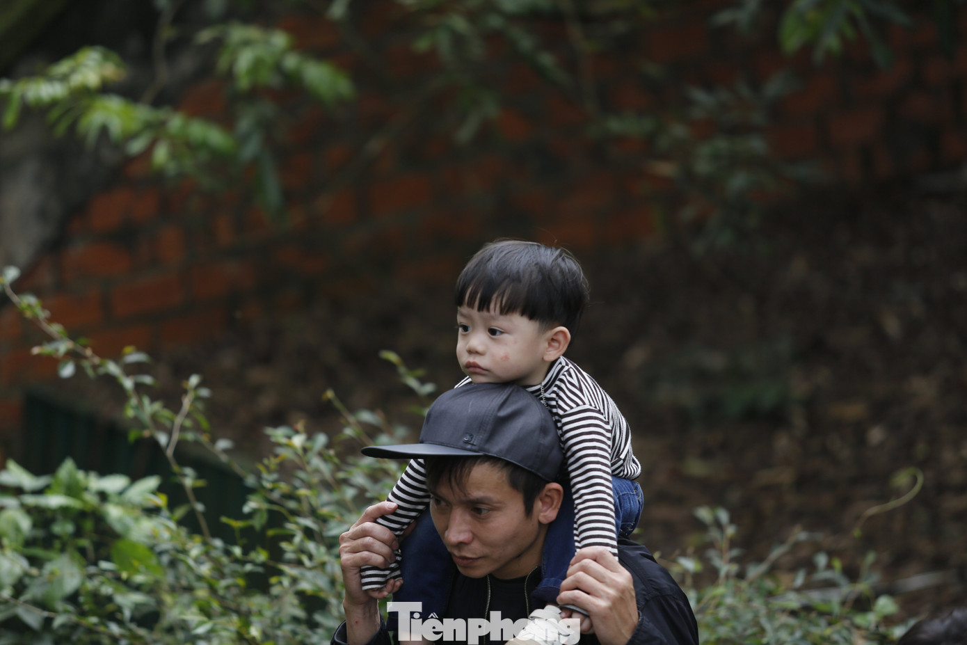 Nhiều trẻ em cũng theo chân bố mẹ lên chùa để ngắm cảnh, dâng hương.