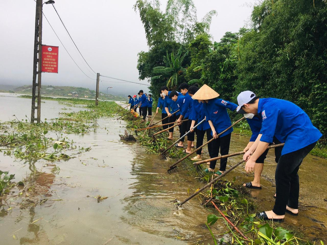 Lực lượng đoàn viên thanh niên xã An Hoà Thịnh (huyện Hương Sơn) vớt bèo tây, khơi thông dòng chảy.