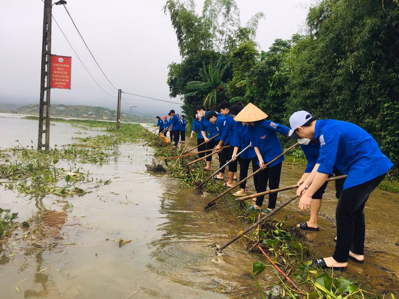 Lực lượng đoàn viên thanh niên xã An Hoà Thịnh (huyện Hương Sơn) vớt bèo tây, khơi thông dòng chảy.