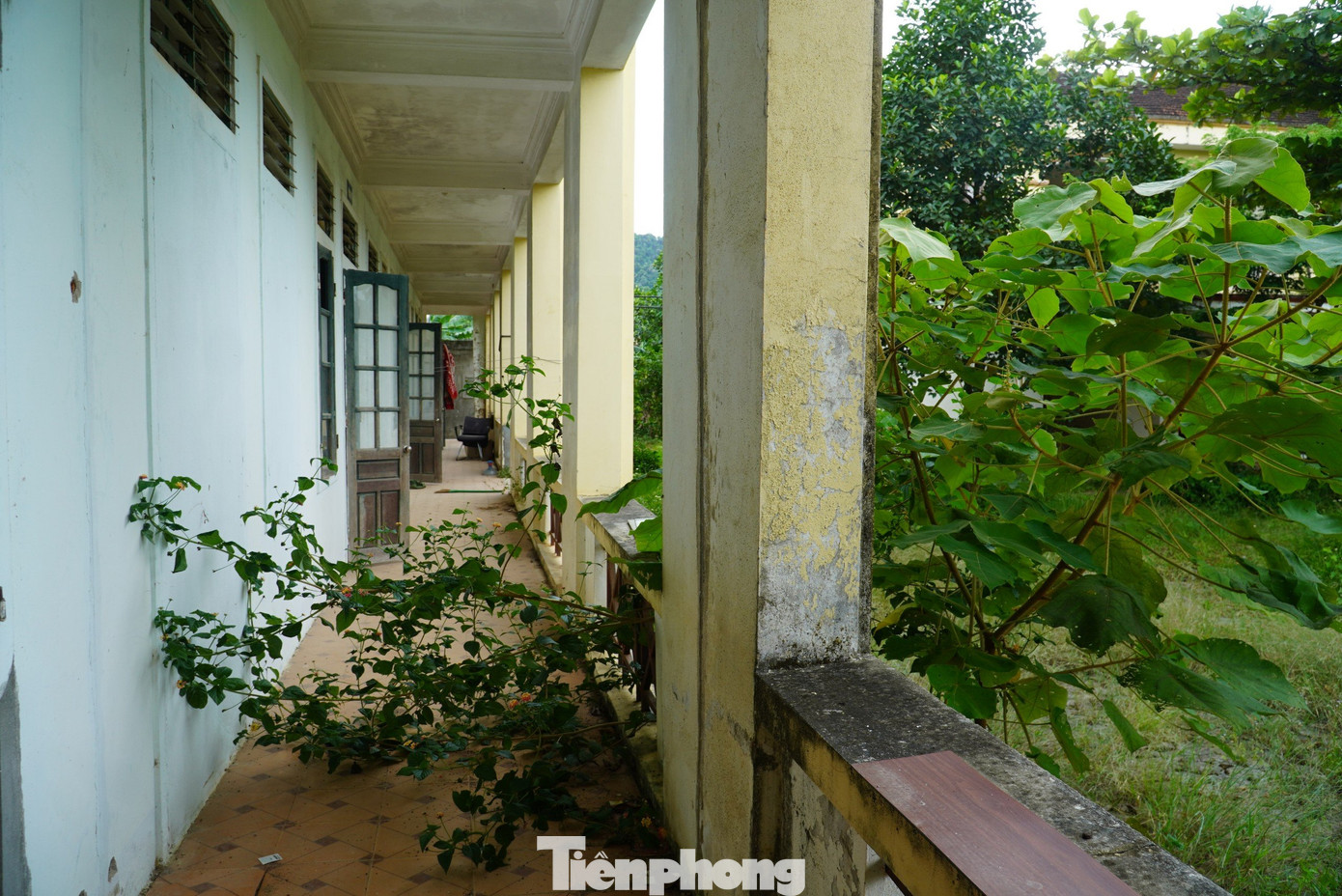 Từng được kỳ vọng sẽ thúc đẩy phát triển kinh tế địa phương vùng biên giới, song kể từ khi đưa vào vận hành, do gặp nhiều khó khăn trong cơ chế chính sách về thuế và đặc biệt số lượng xe điện nhập về lắp ráp khó xuất ra thị trường nên dự án dần “chết yểu”.