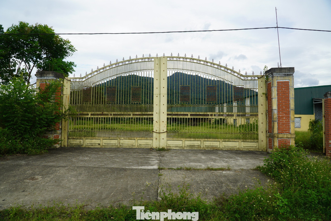 Năm 2015, Công ty cổ phần Xe điện Hà Tĩnh được cấp giấy chứng nhận đầu tư Dự án sản xuất, lắp ráp các loại xe có động cơ, không có động cơ và điện tử, điện dân dụng tại Khu công nghiệp Đại Kim - Khu kinh tế cửa khẩu quốc tế Cầu Treo (huyện Hương Sơn, tỉnh Hà Tĩnh).