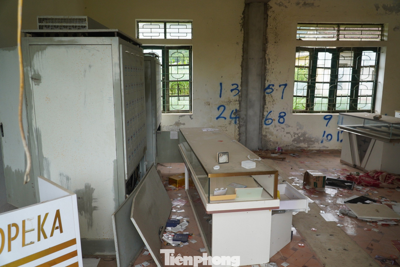 Sau thời gian dài không hoạt động, dự án hiện nay trở nên hoang tàn, bên trong cỏ dại mọc um tùm.