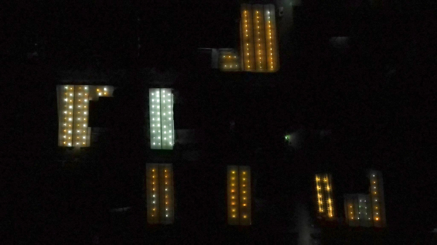 Ông Bùi Công Thư - Phó Chủ tịch UBND xã Lưu Vĩnh Sơn cho biết, nghề trồng hoa tại địa phương đã có từ lâu, chính quyền đang tuyên truyền, vận động nhân dân mở rộng sản xuất. Hiện địa bàn hoa được trồng tập trung ở thôn Xuân Sơn với hơn 50 hộ dân. Những năm gần đây, thị trường hoa cúc Tết khá ổn định, mang về nguồn thu khá cho người làm vườn.