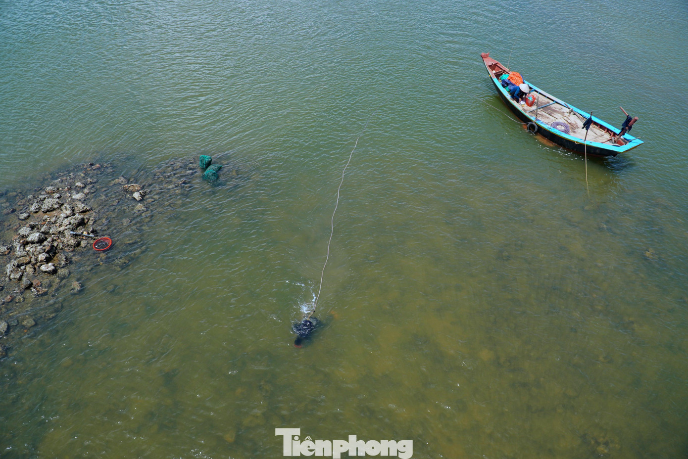 Để bắt được vẹm, ngư dân phải mò ở ven các chân cầu, bãi đá bãi cọc... Còn vùng nước sâu ngư dân phải lặn xuống để bắt.