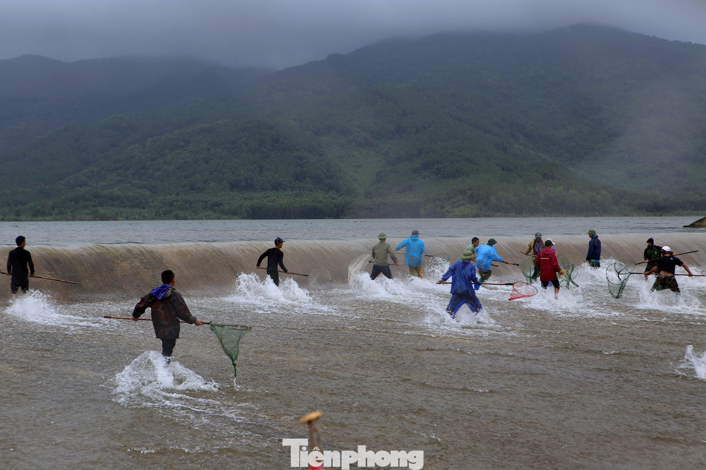 Người dân tập trung thành hàng ngang, khi thấy cá trôi xuống bắt đầu ùa chạy đến để vợt. Có những người chỉ cần đứng vài phút đã vợt được 2-4 con cá vào lưới. Khung cảnh lúc bắt cá trở nên nhộn nhịp.