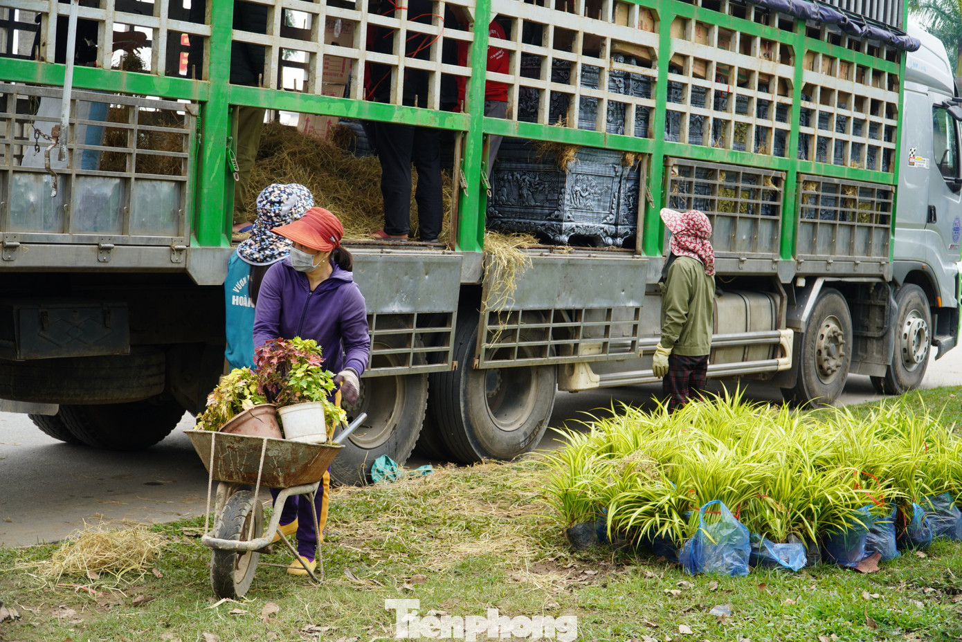 Thường ngày họ chỉ kiếm được khoảng 100-200 ngàn đồng, nhưng dịp Tết công việc nhiều nên kiếm được trên 400 ngàn đồng.