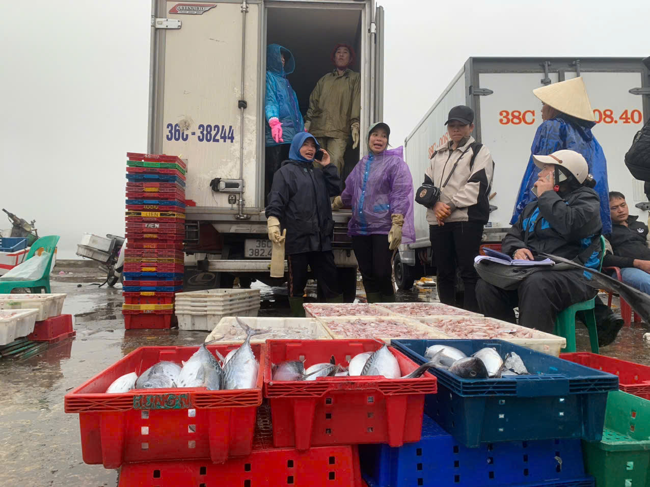 Hải sản ngư dân trúng đậm trong chuyến vươn khơi cuối năm được thương lái thu mua.