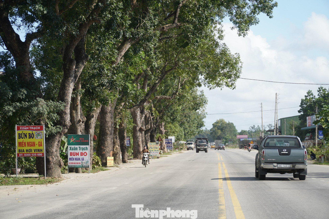 Năm 2012, khi Dự án nâng cấp, mở rộng quốc lộ 8A được triển khai, hơn 50 cây xà cừ cổ thụ nằm trên quốc lộ 8A, đoạn qua xã Bùi La Nhân (huyện Đức Thọ, Hà Tĩnh) thuộc diện phải chặt bỏ. Tuy nhiên việc này vấp phải ý kiến phản đối nên sau đó thiết kế đường được điều chỉnh, hàng cây được bảo vệ đến nay đang phát triển tốt.