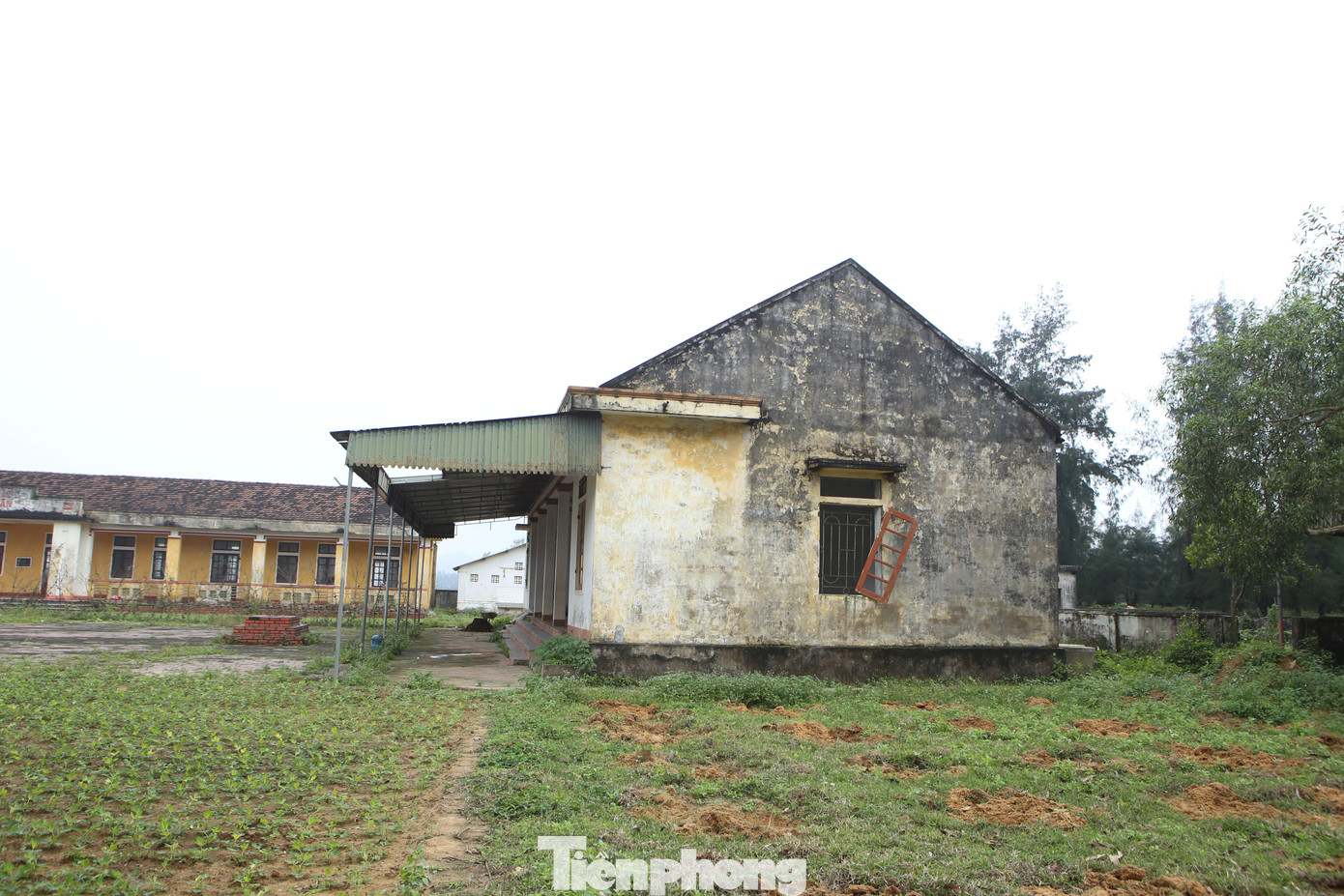 Tại Hà Tĩnh, sau khi thực hiện sáp nhập, học sinh chuyển đến địa điểm mới, nhiều trường học trên địa bàn tỉnh rơi vào tình trạng bỏ hoang.