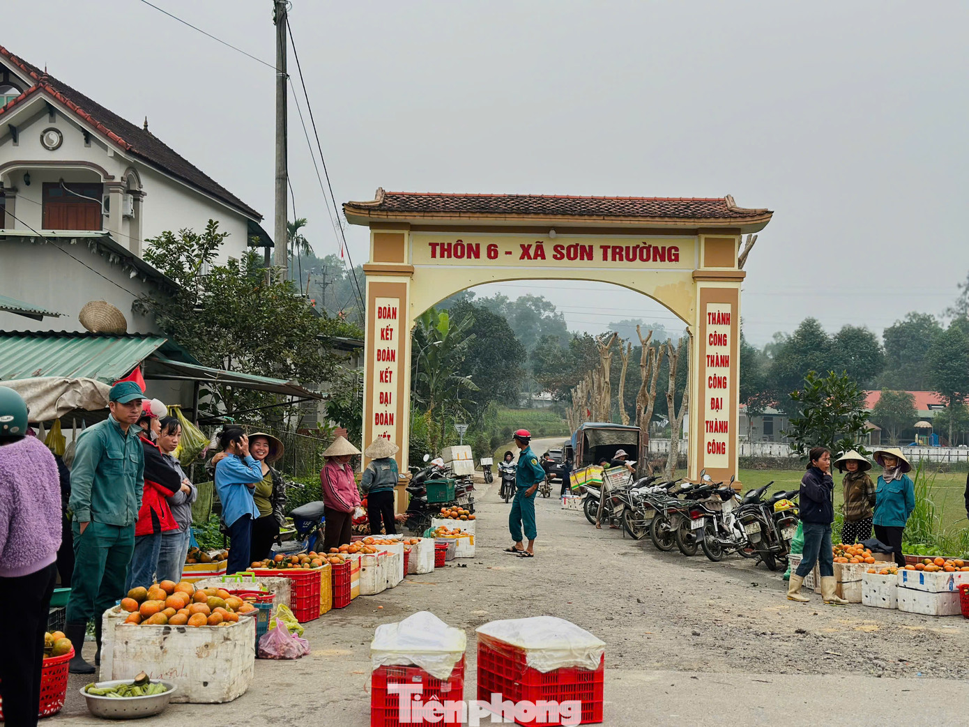 Sát Tết, lượng người mua cam làm quà biếu tăng nhiều, dù cam giá cao nhưng lượng tiêu thụ vẫn mạnh. Trong ảnh, tuyến đường vào thôn 6, xã Sơn Trường ngập tràn sắc vàng của cam.