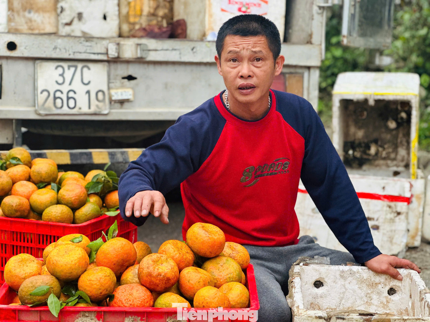Tết Nguyên đán cận kề, nhu cầu cam tăng cao, người dân trồng loại đặc sản này phấn khởi vì cam mang về nguồn thu lớn.