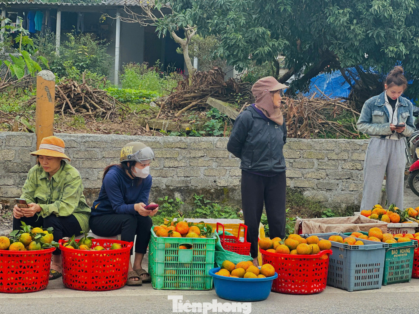 Ngày 26/1 (tức 27 Tết), nhiều người dân trồng cam bù ở huyện Hương Sơn (Hà Tĩnh) mang những rổ đựng cam ra tuyến đường lớn ở xã Sơn Trường để bán. Thương lái nhiều nơi cũng đổ về thu mua, vận chuyển ra các thành phố để bán trong dịp Tết.
