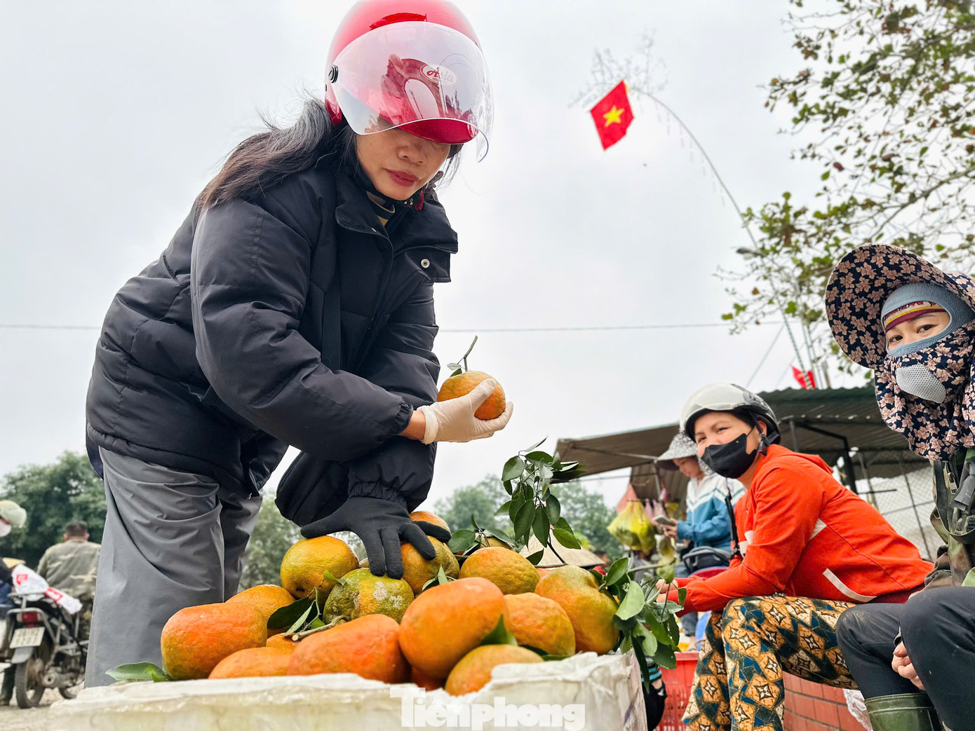 Tết Nguyên đán cận kề, nhu cầu cam tăng cao, người dân trồng loại đặc sản này phấn khởi vì cam mang về nguồn thu lớn.