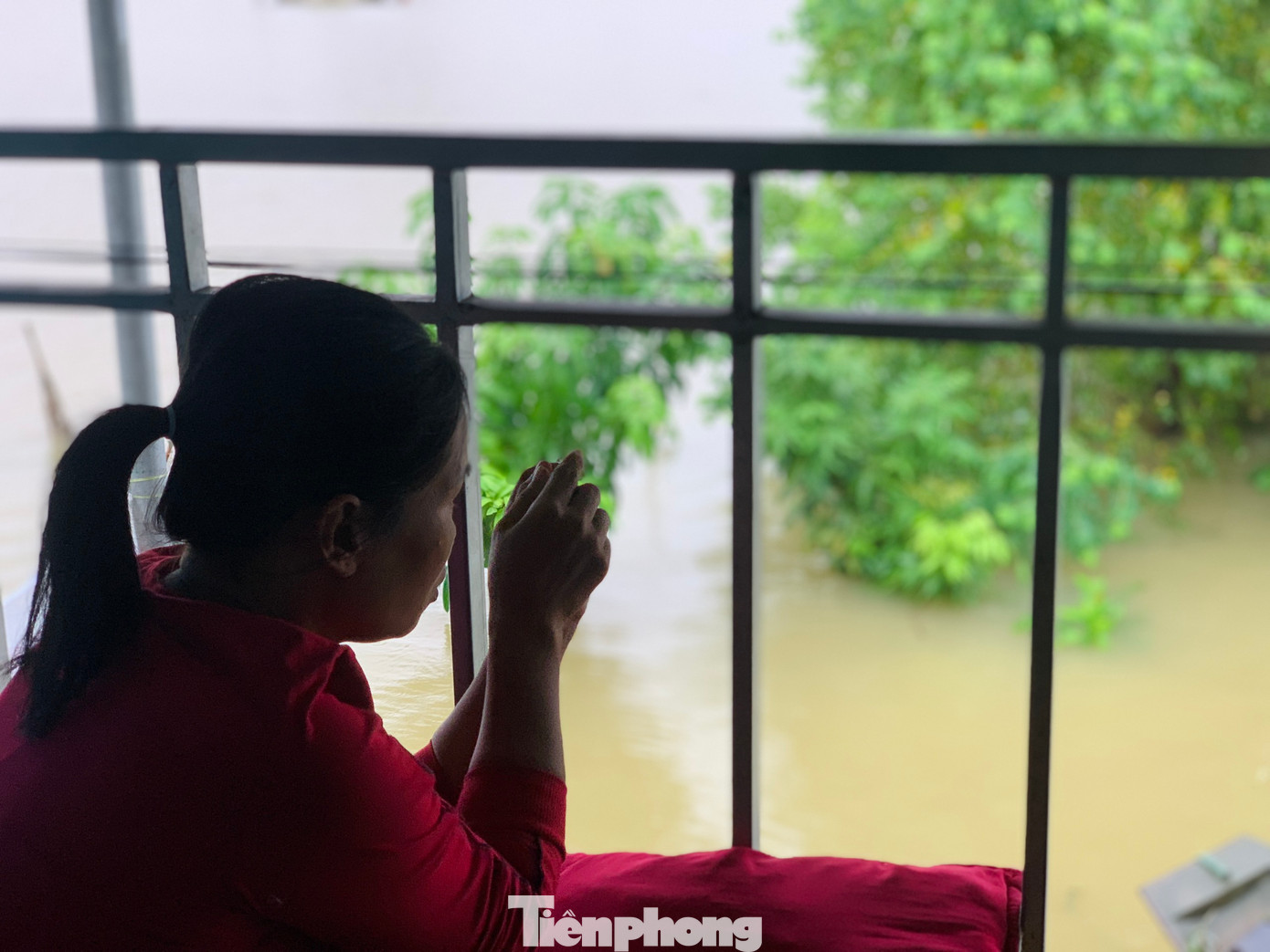 "Trước đây, gia đình 7 người ở trên thuyền. Mỗi khi mùa mưa lũ đến, tôi đi gửi con cho ông bà nội ngoại, còn chồng ở lại thuyền để trông coi tài sản. Có những thời điểm mưa bão lớn, lật thuyền, hư hỏng tài sản lớn, nhưng may mắn người thoát nạn. Giờ có nhà ở mới, khi có nước lũ gia đình di chuyển đồ đạc lên tầng 2, gà vịt thì kê cao lên nên cũng bớt lo toan", chị Trương Thị Nhật (31 tuổi, trú thôn Tiền Phong) chia sẻ.