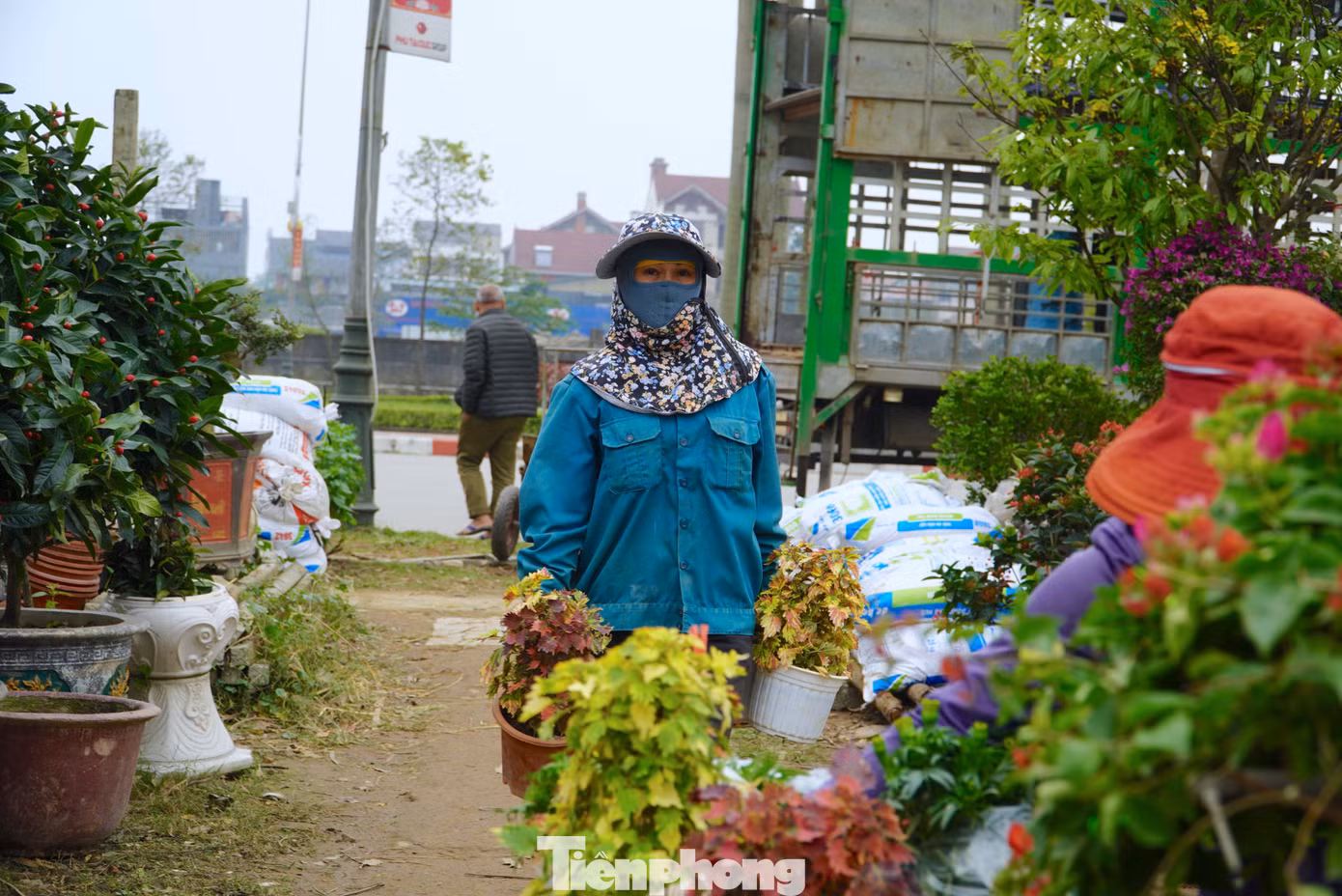 "Những ngày này việc nhiều, giờ ai thuê gì chúng tôi làm nấy. Chỉ cần kiếm được tiền là chị em đều vui dù công việc cực nhọc", một người phụ nữ làm thuê tại vườn hoa chia sẻ.