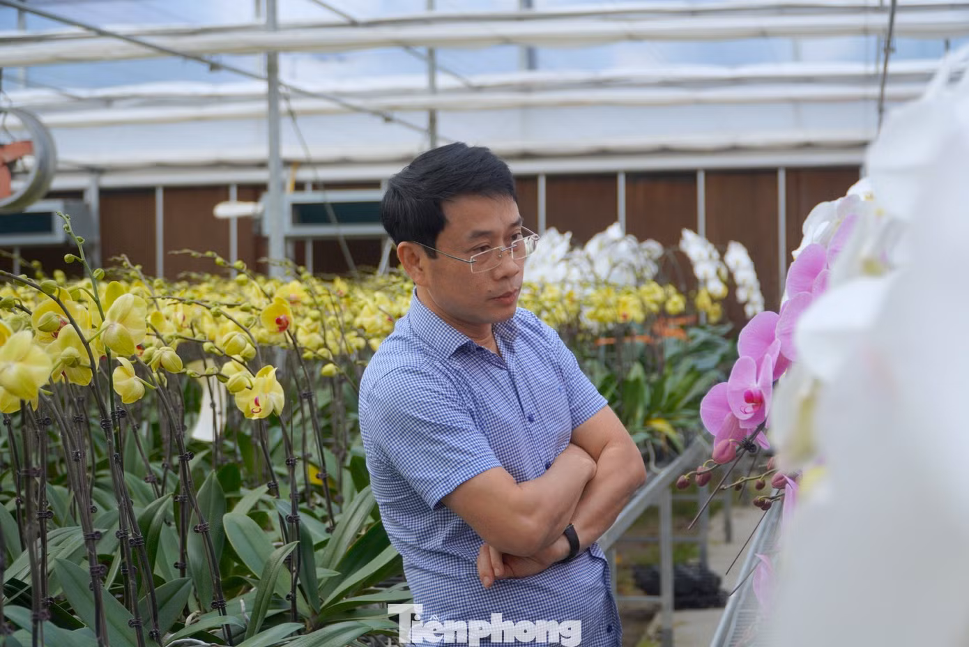 Một vị khách ở thành phố Hà Tĩnh đến tại vườn để chọn lựa hoa lan.