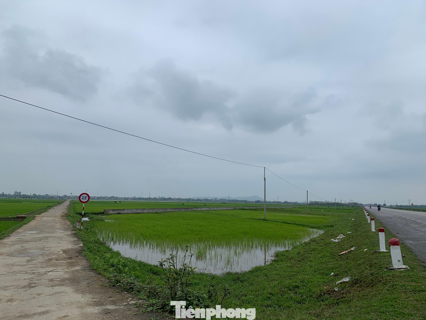 Chỉ cách con đường nhỏ nhưng giá hai khu đất lại chênh lệch nhau rất nhiều lần. Trong ảnh khu đất tại thôn Hoà Bình vừa được đấu giá thành công năm 2021. Chỉ cách con đường nhỏ nhưng giá hai khu đất lại chênh lệch nhau rất nhiều lần. Trong ảnh khu đất tại thôn Hoà Bình vừa được đấu giá thành công năm 2021.