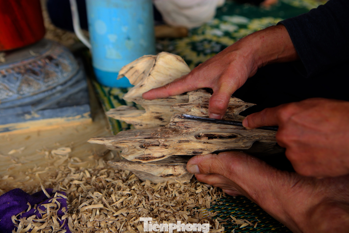 Công việc tìm trầm trong thân cây nhìn bằng mắt có vẻ dễ dàng, song chỉ có những người có kinh nghiệm lâu năm mới thành thạo làm công việc này.