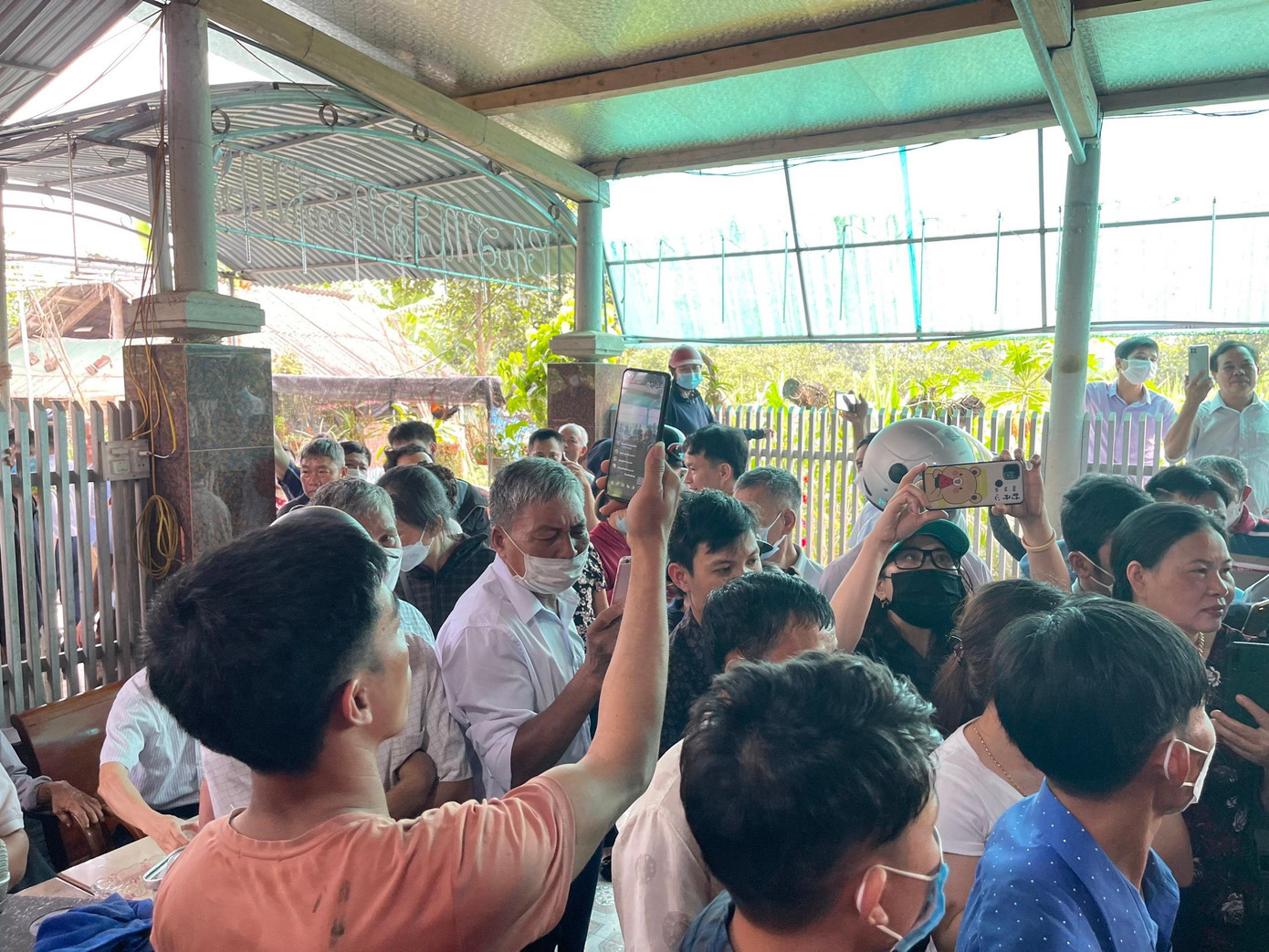 Rất nhiều người đến xem và chụp ảnh cặp nhung "khủng" này.