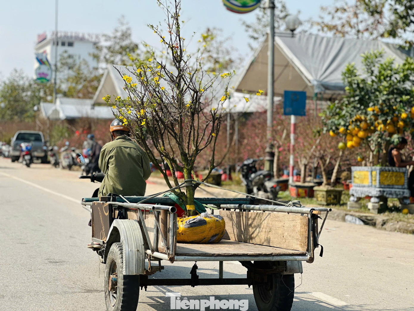 Dọc đường Xô Viết Nghệ Tĩnh (thành phố Hà Tĩnh) hàng chục lao động đưa xe kéo ra đây để phục vụ nhu cầu thuê vận chuyển hoa, cây cảnh về nhà.