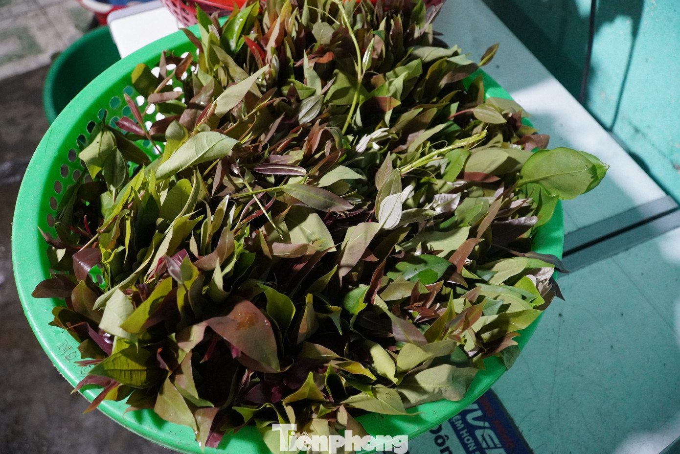 Những loại rau rừng được chọn lựa phải đủ vị đắng, chát, chua, ngọt, bùi...