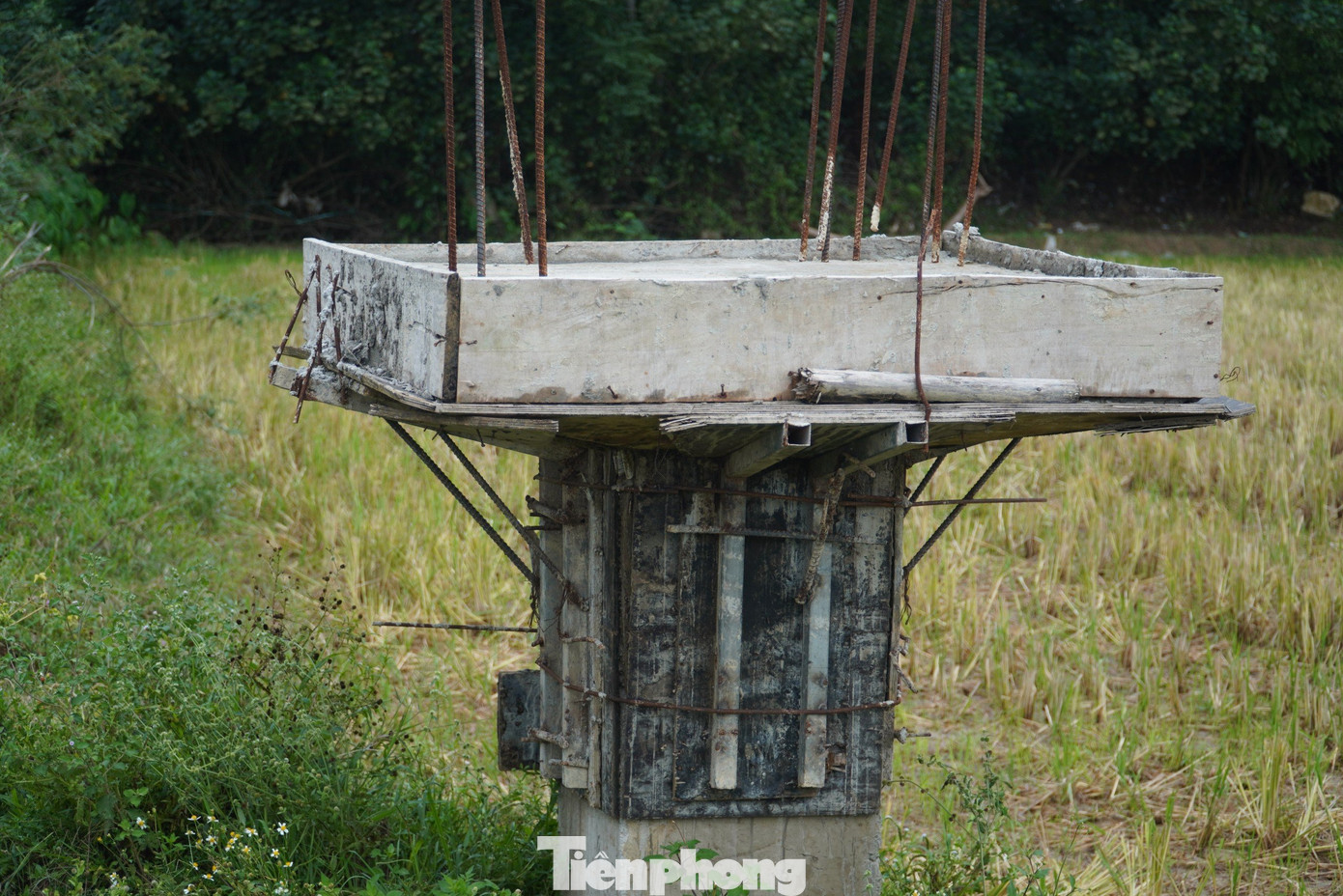 Công trình chậm tiến độ, hàng chục ha đất nông nghiệp buộc phải bỏ hoang vì thiếu nước.