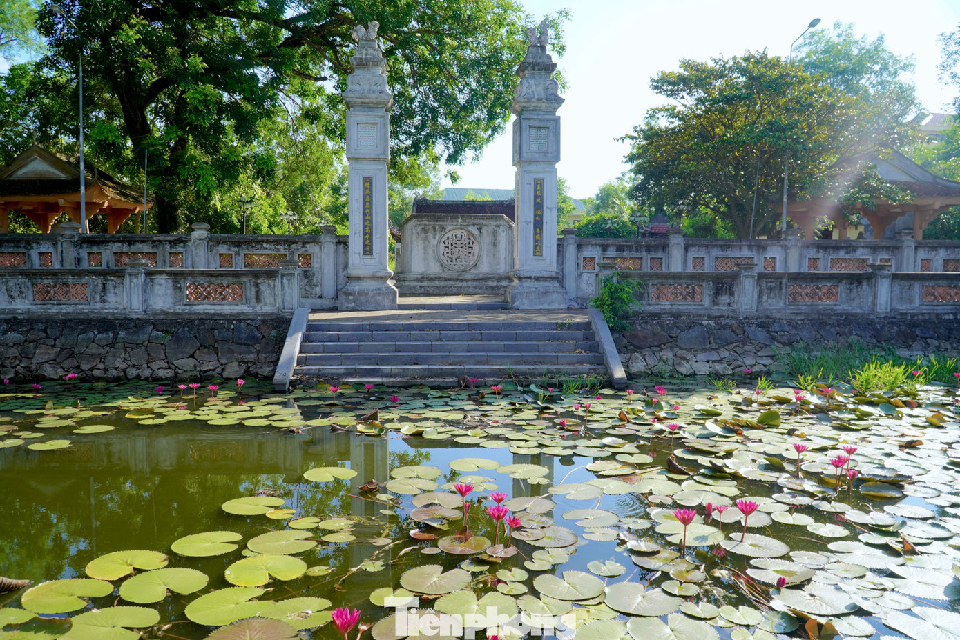 Trước đền là hồ bán nguyệt trồng hoa súng...