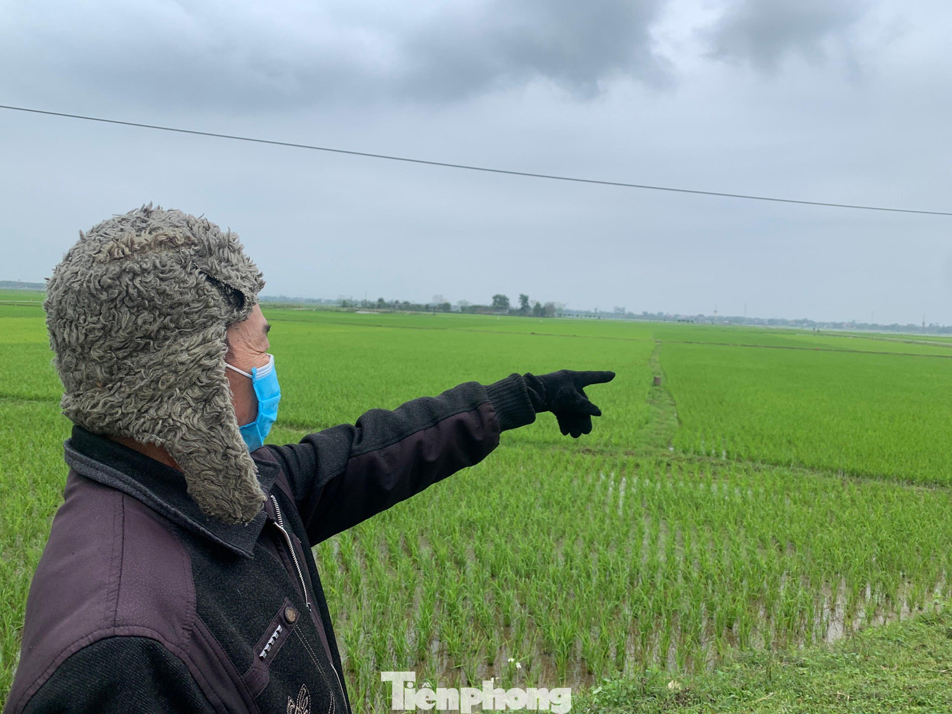 Ông Lê Đình Mậu (trú thôn Hoà Bình, xã Lâm Trung Thuỷ) chỉ về hướng đất ruộng gia đình nằm trong khu vực đất được đưa ra đấu giá. Ông Lê Đình Mậu (trú thôn Hoà Bình, xã Lâm Trung Thuỷ) chỉ về hướng đất ruộng gia đình nằm trong khu vực đất được đưa ra đấu giá.