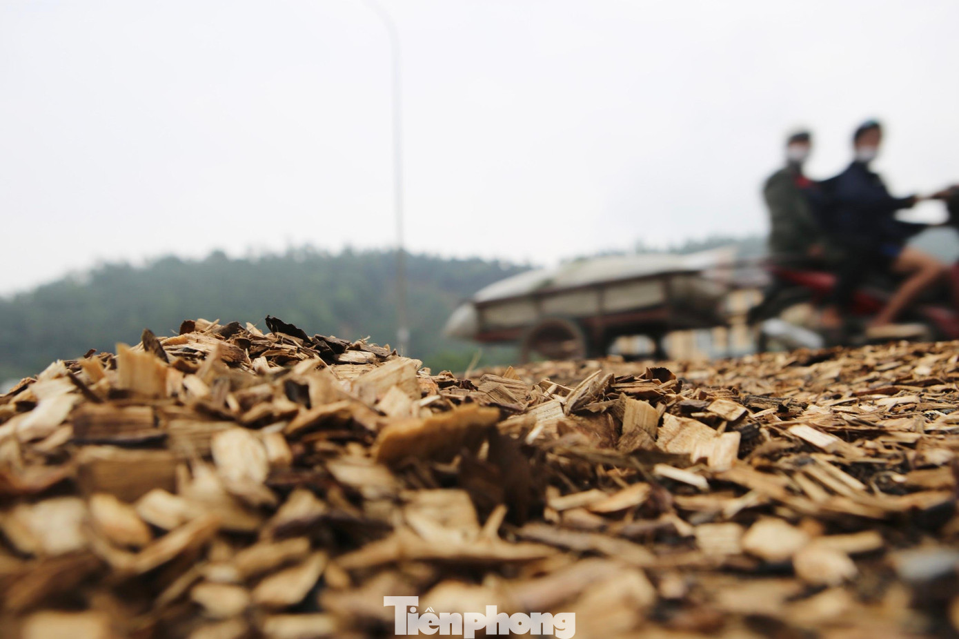 “Ngày thì nắng bụi mù mịt, bụi bay hẳn vào trong nhà. Dân xung quanh đây phải sử dụng bạt để che đậy hạn chế tình trạng này. Trước đây mỗi lần xe chở gỗ dăm đi qua làm rơi vãi xuống đường, gây nguy hiểm cho người giao thông đi phía sau. Hiện tại khu vực này có người dọn, nhưng chỉ được một thời gian khi xe lưu thông nhiều thì đâu lại vào đấy”, một người dân xã Kỳ Lợi cho hay.