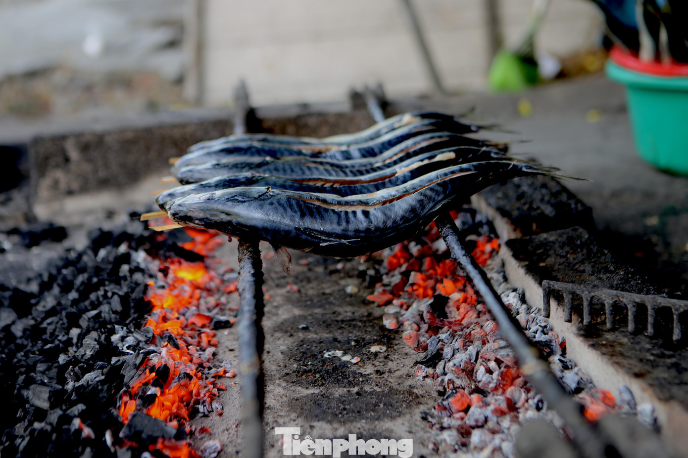 Giá cá được bán từ 30.000-40.000 đồng tùy loại to nhỏ. Trừ chi phí tiền điện, than mỗi ngày người dân cũng chỉ lãi được 200.000-300.000 đồng.